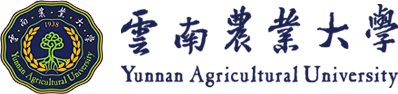 ac米兰官网中文网站